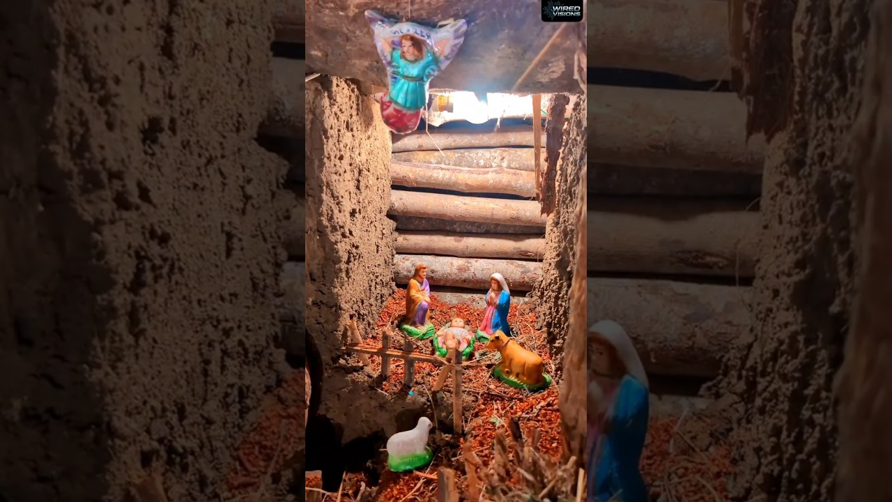 Magical Christmas Crib & Lights Display