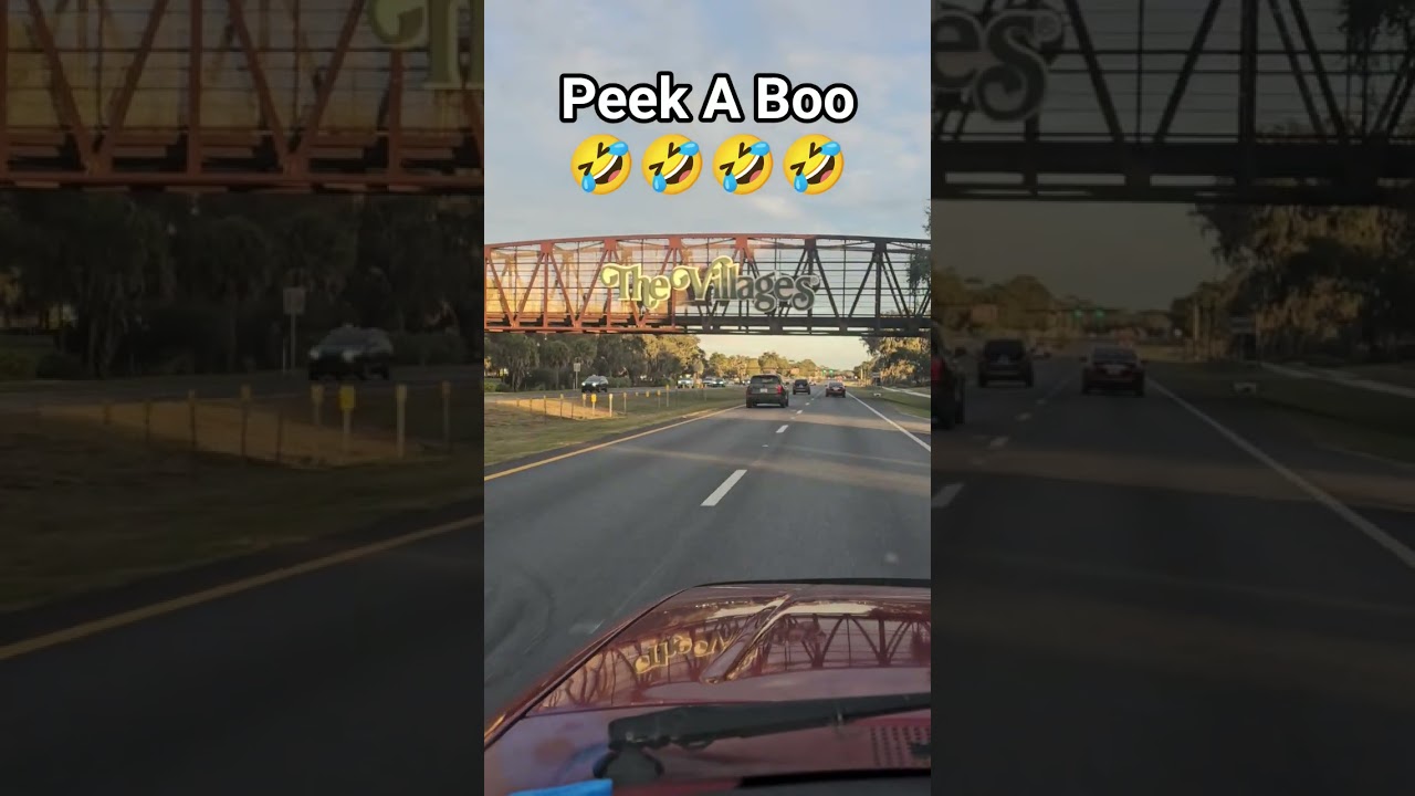 Peek A Boo Florida @WhatTheHales