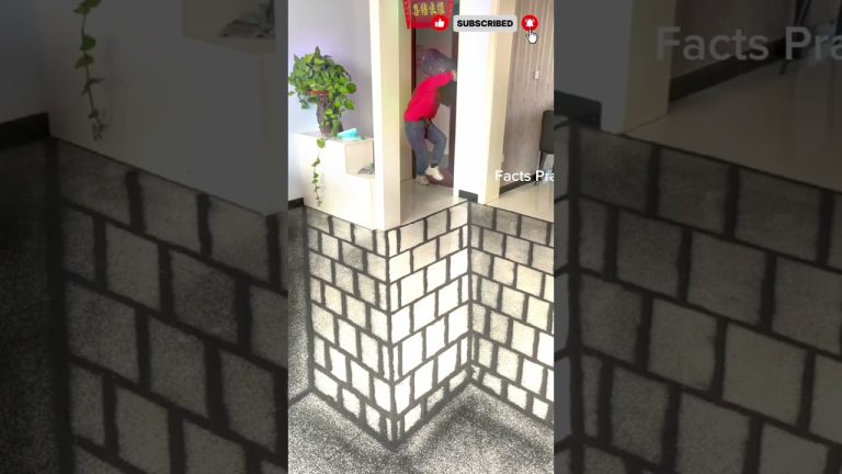 Amazing 3D Painting Prank 😱 Sister Got Scared | Mind Blowing Optical Illusion #shorts