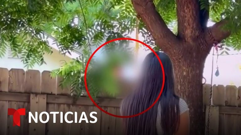 Hay polémica en California por los insultos de vecina a unos jóvenes latinos | Noticias Telemundo