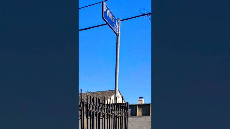 Rip Baby Bolt Da House3 🕊️ thx #WarinCali