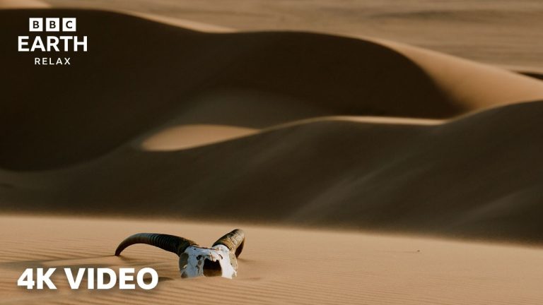 African Desert Landscapes In 4K | Peaceful Nature Ambience | BBC Earth Relax