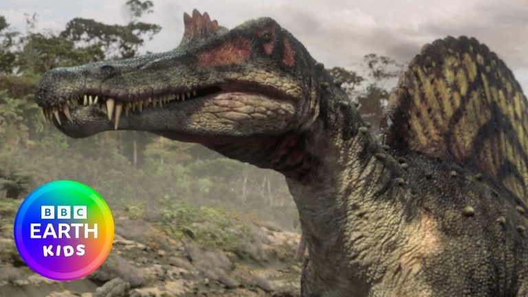 Learn About Dinosaurs! 🦖 🦕 | Dinosaur Facts | BBC Earth Kids