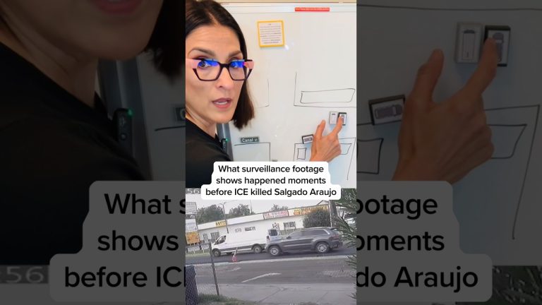 What surveillance footage shows happened moments before ICE killed Salgado Araujo
