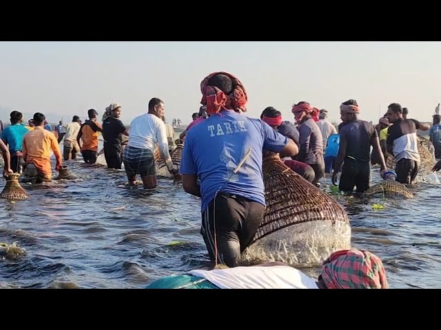 Fish Catching Videos – Live Now