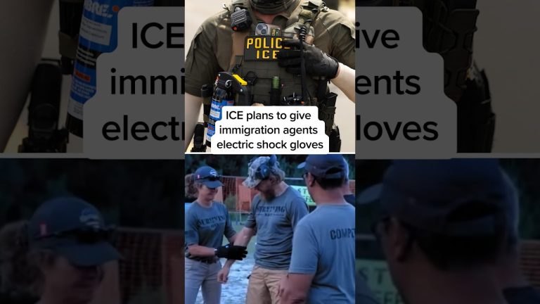 ICE plans to give immigration agents electric shock gloves