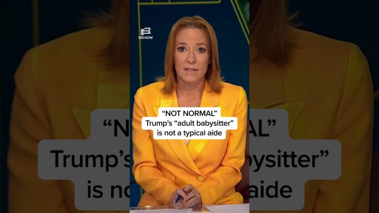 ‘NOT NORMAL’: Trump’s ‘adult babysitter’ is not a typical aide