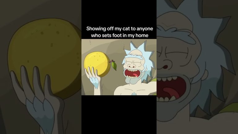 #catdad #cat #furbaby #rickandmorty #lionking @[adult swim] Prime Video Disney HBO Max hulu
