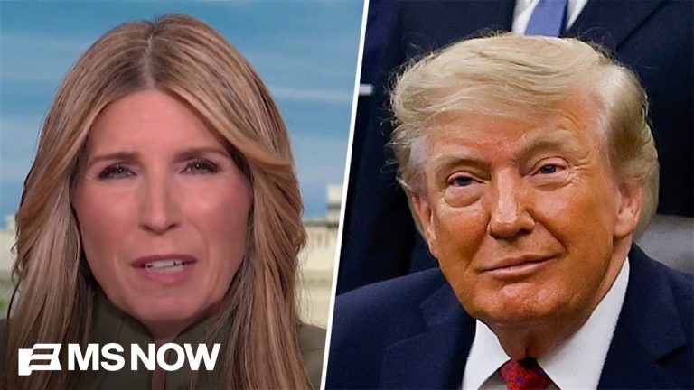 ‘He sounds addled and INSANE’: Nicolle on incoherent Trump sacrificing GOP and freaking out voters