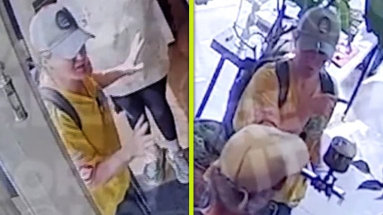 Kelly Clarkson vs. The Art of Play: New Security Footage of Bird-Buying Incident Surfaces